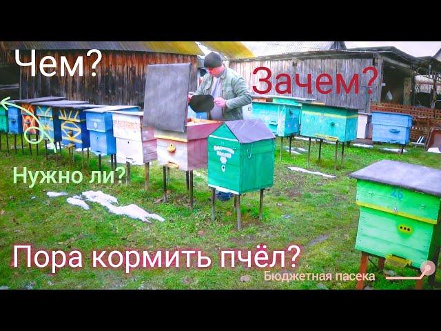 Когда кормить пчёл зимой? Чем? За чем? И нужно ли? Варианты развития событий зимовки пчелосемей.