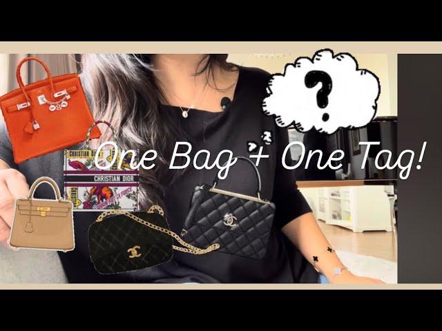 One Bag + One Tag! | Tag by Melissa Adams-Wade