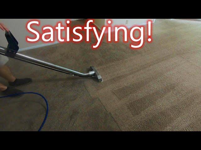 HOW WE DEEP CLEAN CARPET! //Steam Boss Inc.