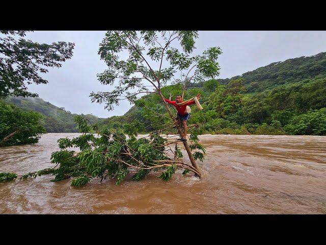 ALERTA ROJA el rio torola se desborda y don jose queda atrapado en la chorrera