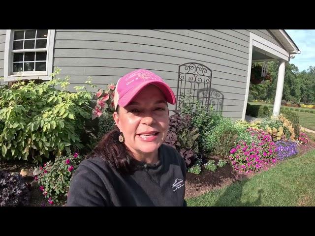 Boosting the Fall Garden with New Perennials