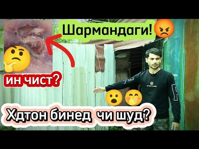 СРОЧНО! ХДТОН БИНЕД ИН ЧИ ҲОЛ АСТ?