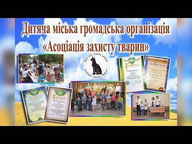 Ассоциация Защиты Животных | Помощь животным, конкурсы, акции