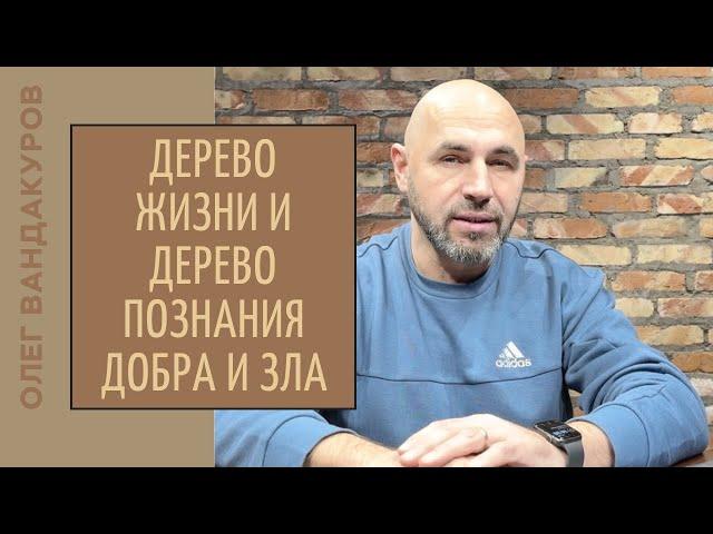 Дерево Жизни и дерево Познания | ОЛЕГ ВАНДАКУРОВ