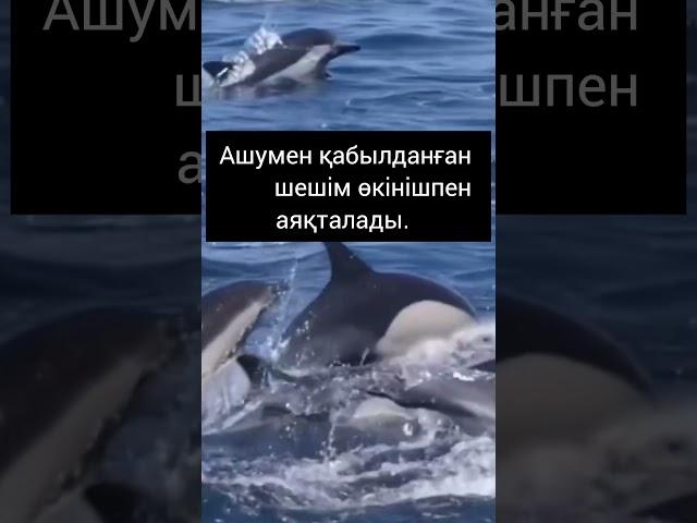 #аудиокітап