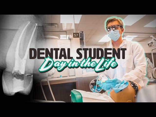 How Hard Are Root Canals?? // Dental School Day in the Life // YEAR 3