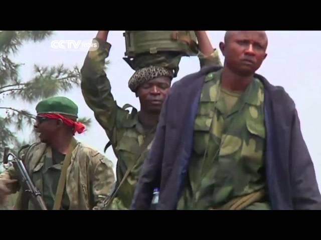 UNSC warned that FDLR rebels are threatening peace in DRC