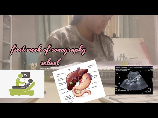 *Realistic* First Week Of Sonography School! | Nikki Harrison