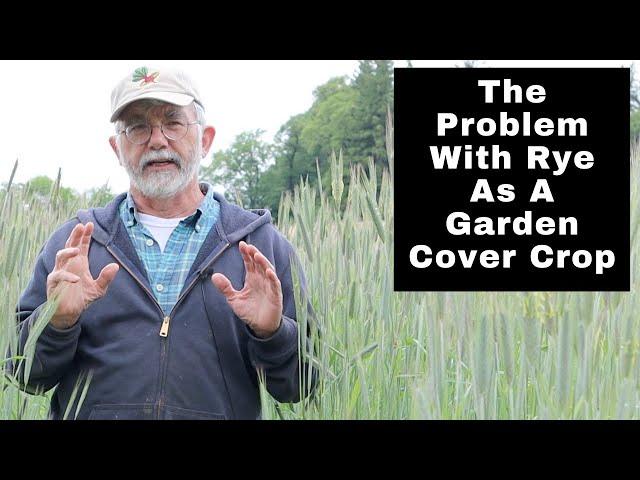 The Problem With Rye As A Garden Cover Crop