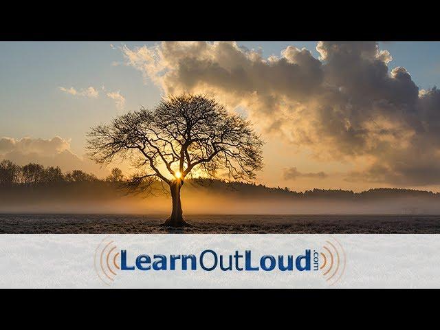 The Way of Peace Audiobook by James Allen