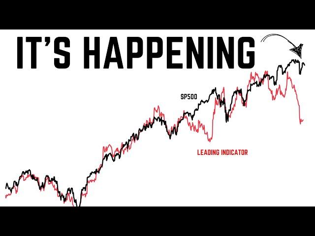 A Dead Cat Bounce on Stocks…