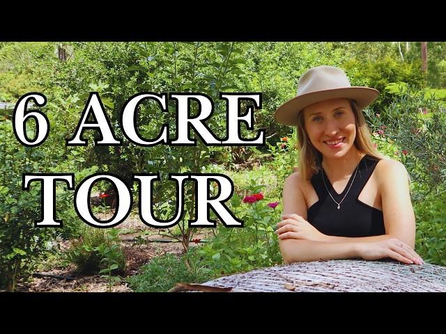 Part 1: Self Sufficient Homestead Tour | Summer Update | Homesteading in South East Queensland