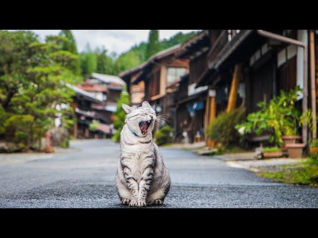 Inside Japan's Stunningly Beautiful Shukuba (Post Towns)