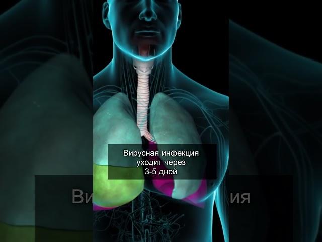 ПОЧЕМУ ОСТАЕТСЯ КАШЕЛЬ ПОСЛЕ ОРВИ?