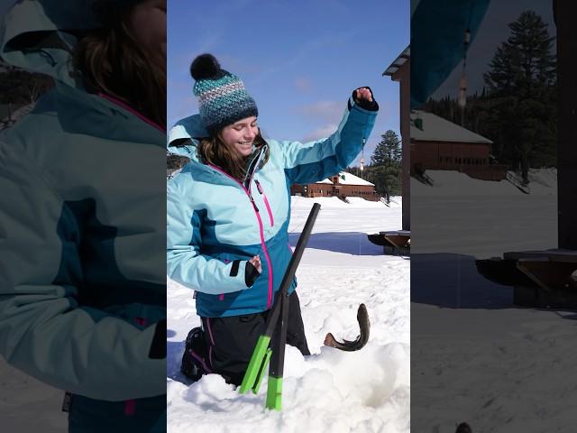 Pourvoiries Laurentides