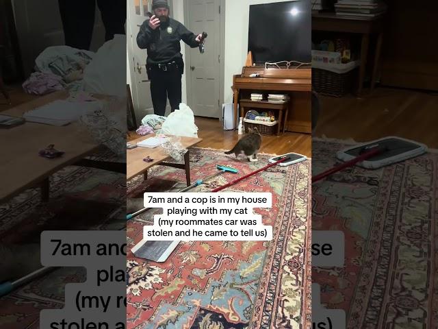 Cop is Distracted by Cat