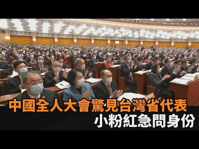 中國全國人民代表大會驚見「台灣省代表團」　小粉紅急問：他們是誰？－民視新聞