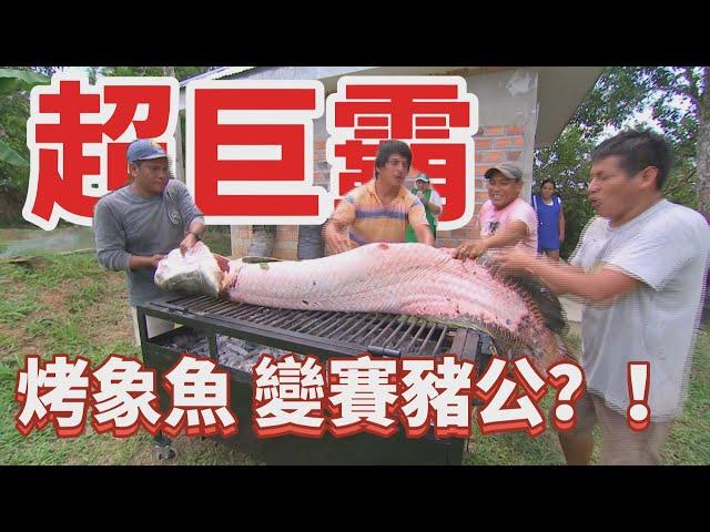 【全球巨物  大車拼】嚇鼠人! 鼠王現身  體型堪比嬰兒！亞馬遜象魚  烤魚變賽豬公？！《Drama說書人EP15》世界第一等