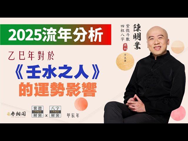 流年分析 | 2025乙巳年對壬水之人的運勢影響 | 以四柱八字來看《紫微解密》(字幕版)