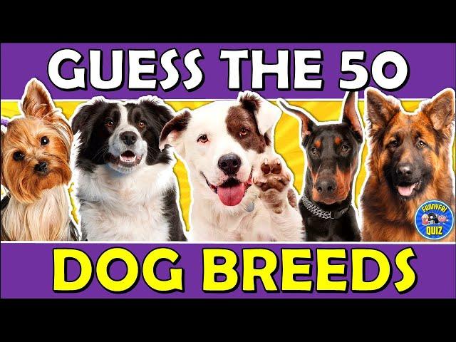 Guess the "DOG BREED" QUIZ!  Challenge/Trivia/Test