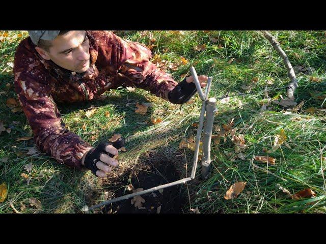 Ловушка на любого зверя!Как поймать лису, фазана, зайца.