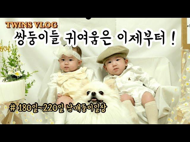 VLOG| 귀여움이 폭발하는 7개월 남매둥이 일상 | 생후 180일~220일 | 이유식잘먹는 쌍둥이 | 쌍둥이육아는 축복입니다