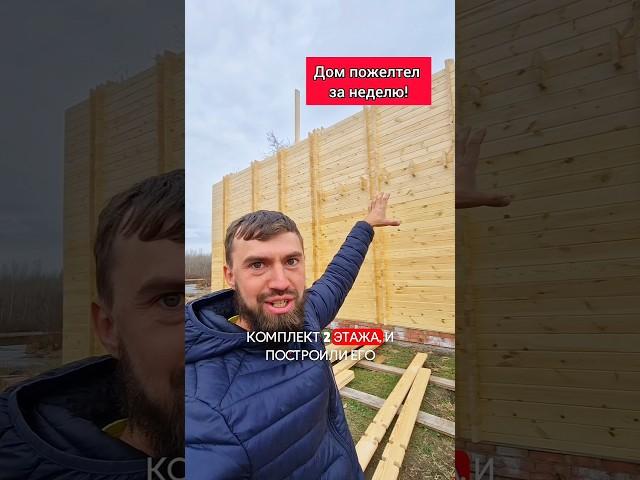 Главная угроза для деревянных конструкций?! #строимдом #двойнойбрус #домподключ #деревянныйдом #топ