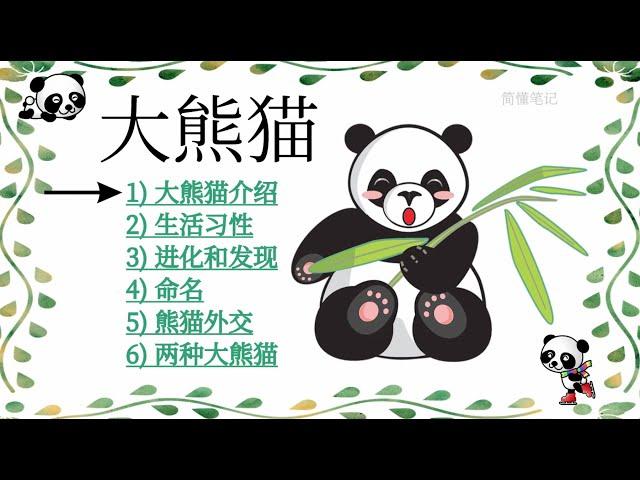 了解大熊猫国宝熊猫Panda介绍| 可爱萌动物 猫熊 生活习惯 特点 进化和发现｜熊猫外交 四川大熊猫和陕西大熊猫