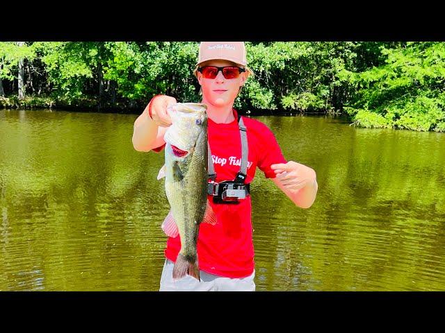 Fishing with BIG baits for HUGE fish! (BIG BASS)