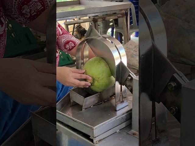 Coconut automatic cutting machine at a coconut farm!!!