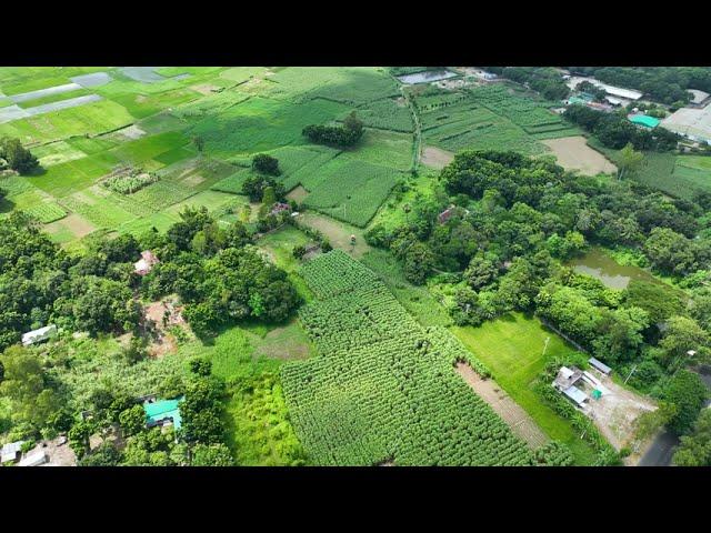 Bangladeshi Green Village 4k Aerial video l Free stock footage l Free 4k Drone Video l no Copyright