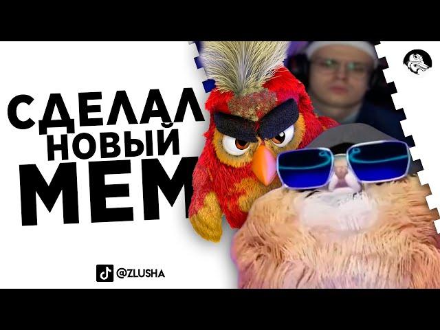 Повторил Мем с мохнатой собакой из Тиктока #shorts