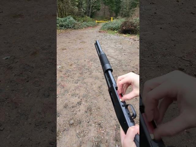 Mossberg Maverick 88 Security #shorts #shotgun #firearms #shooting #subscribe