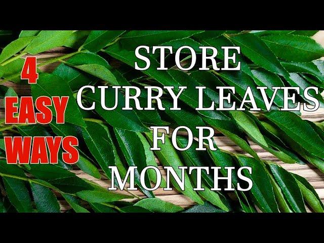 HOW TO STORE CURRY LEAVES - HOW TO STORE CURRY LEAVES FOR MONTHS - KEEP CURRY LEAVES FRESH