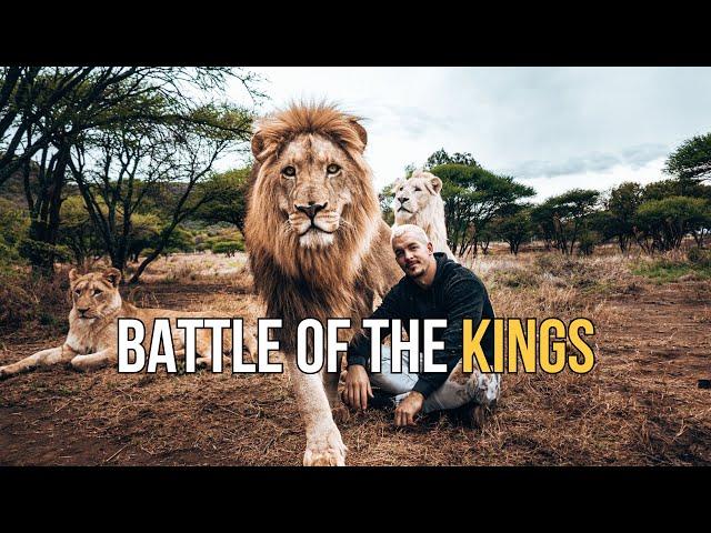 Battle of the Kings - Dean Schneider