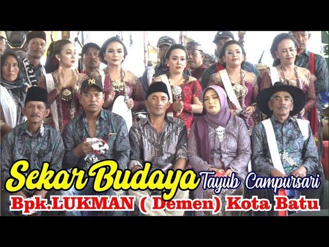 TAYUB ** SEKAR BUDAYA ** HAJAT P, LUKMAN ( DEMEN) SIDOMULYO - KOTA BATU VOL,1