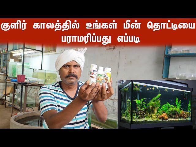 How to care your fish on cold climate | Vedha Fish Farm