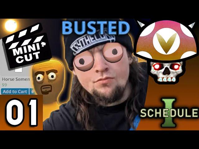 [Vinesauce] Joel - Schedule I Highlights ( Part 1 )