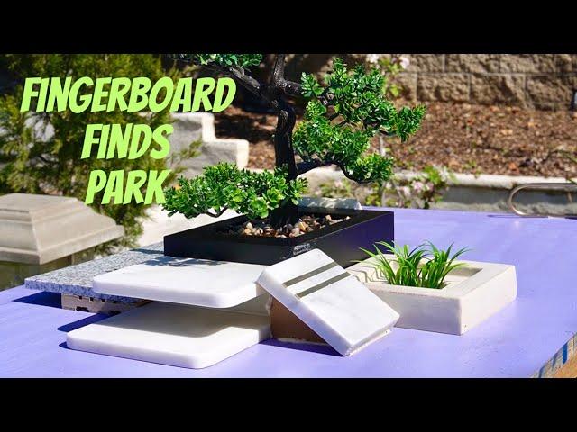 Building A Fingerboard Park From My Fingerboard Finds!