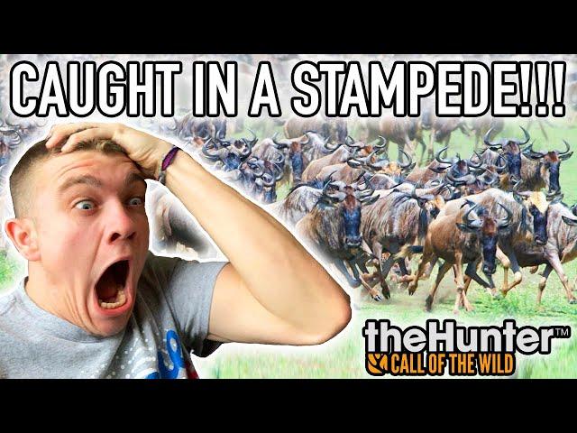 CAUGHT IN A WILDEBEEST STAMPEDE! Hunter Call of the Wild Pt.45 - Kendall Gray