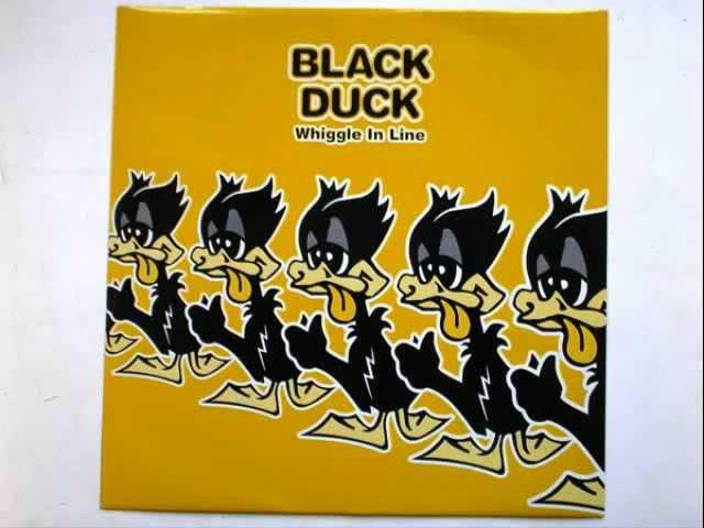 Black duck- Migration (Little Fluffy Ducks Mix)