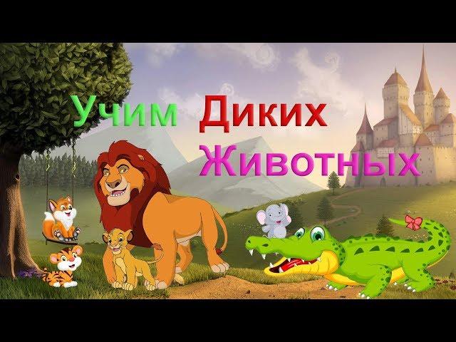WILD ANIMALS for babies! We teach animals for the little ones! Developing cartoon for children!