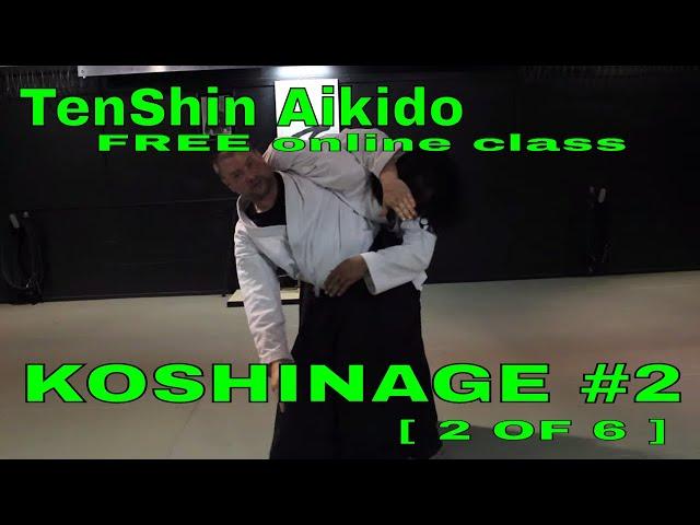 KOSHINAGE #2 - TenShin Aikido FREE online class [ 2 of 6 ]