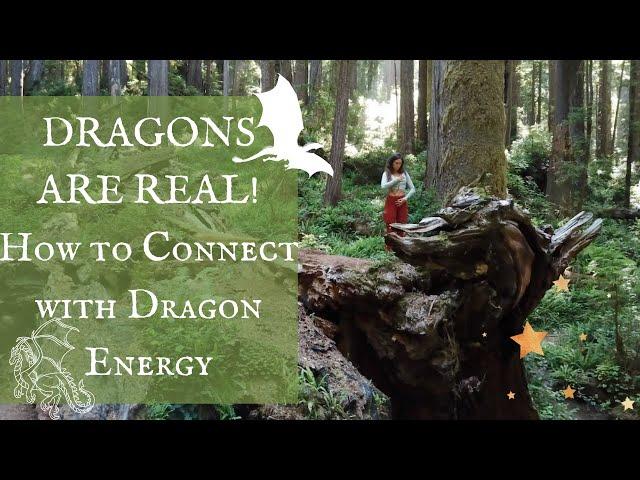 DRAGONS ARE REAL! Powerful 5D Energy, Awaken Your Magic. Imagine & Connect to The Elemental Realm!