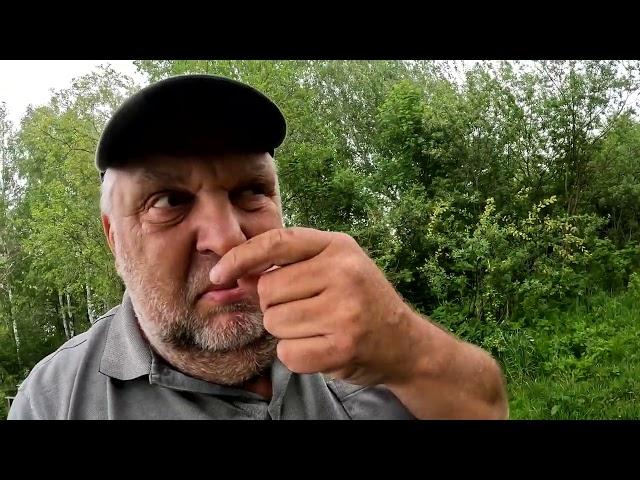 Лини на боло матч,  сюрпризы старого торфяника, отчёт № 381