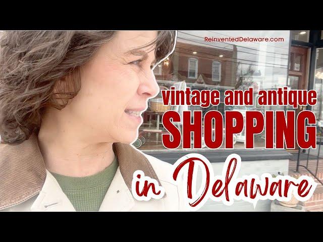 Vintage and Antique Shopping in Delaware Shop with Me!