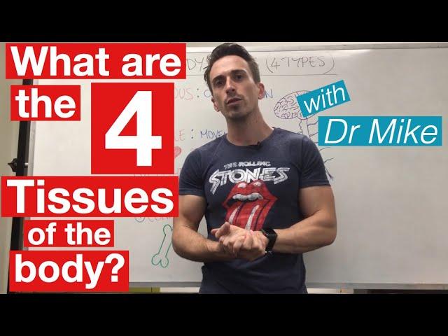 Body Tissues | Four Types