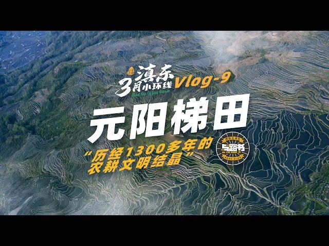 滇东环线vlog9-元阳梯田一日：千年农耕文明的震撼与质朴的乡村集市 The Awe of Millennia-Old Agricultural Civilization