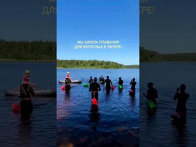 Школа плавания Let’s swim, обучение плаванию для взрослых Санкт Петербург (Спб) #шортс