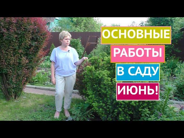 ОСНОВНЫЕ РАБОТЫ В САДУ И ОГОРОДЕ В ИЮНЕ!